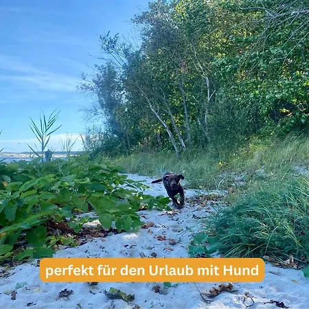 Boddenhus - Historische Scheune * Lubmin