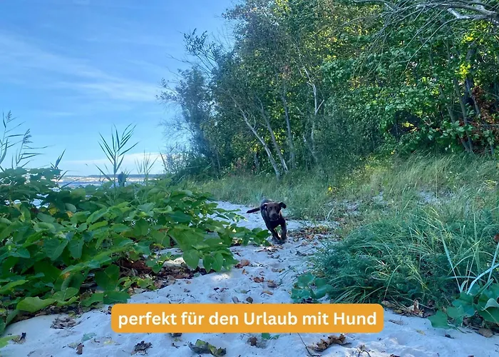 Boddenhus - Historische Scheune * Lubmin